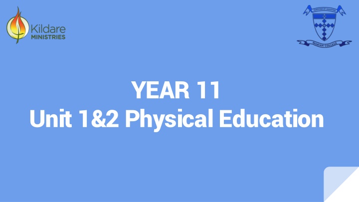 year 11