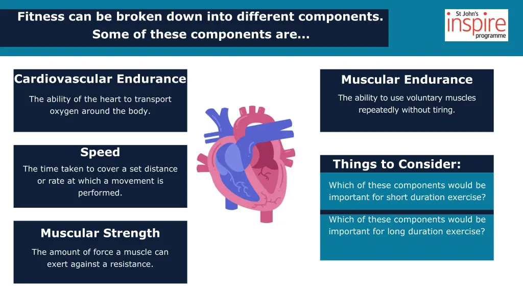 fitness can be broken down into different