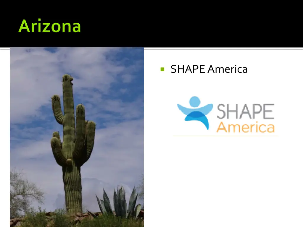 shape america
