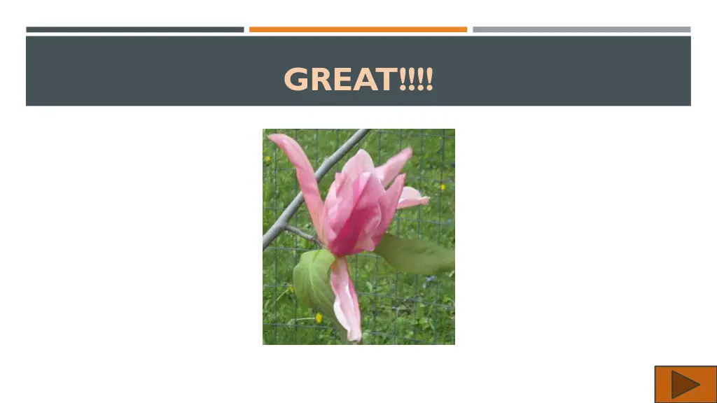 great
