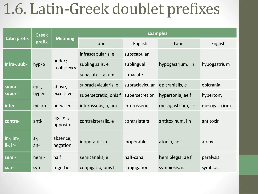 1 6 latin greek doublet prefixes 1