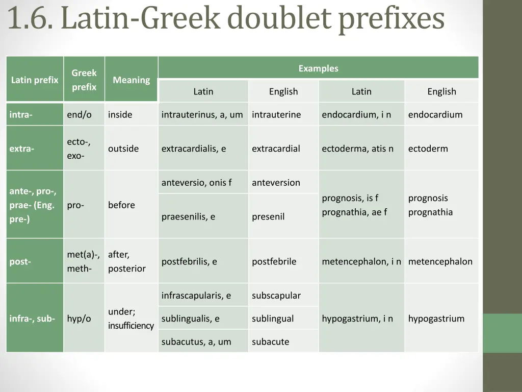 1 6 latin greek doublet prefixes