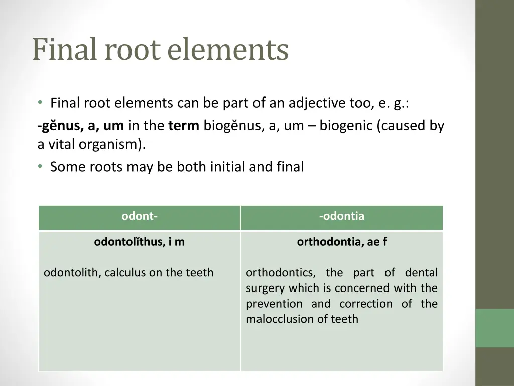 finalrootelements