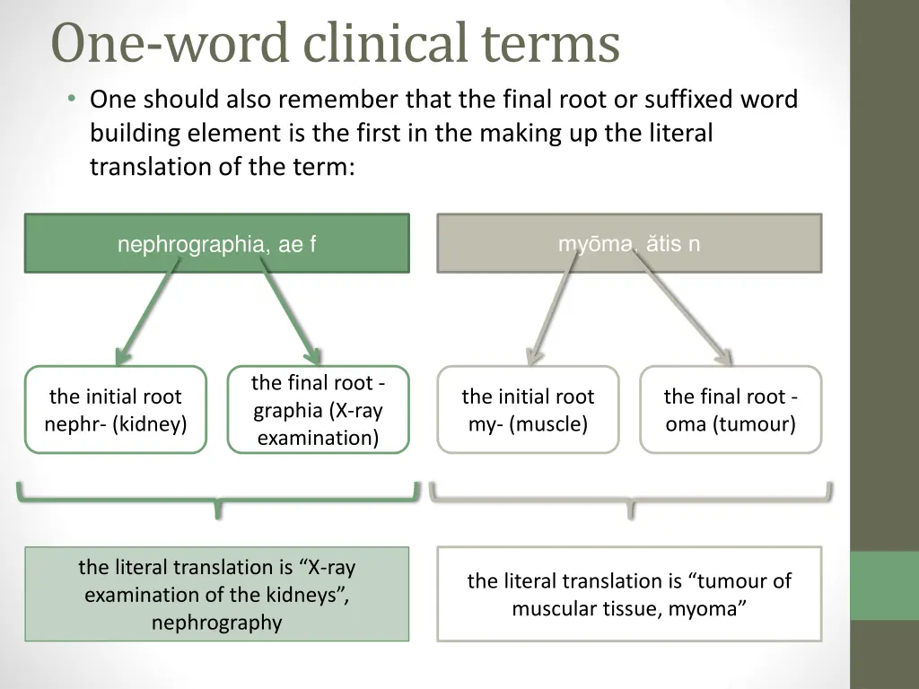 one wordclinicalterms