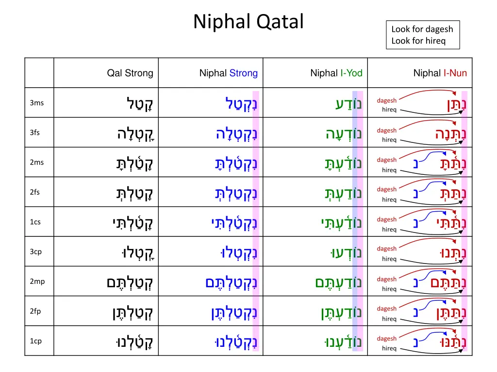 niphal qatal 17