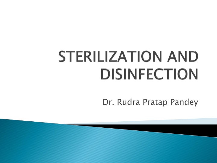 dr rudra pratap pandey