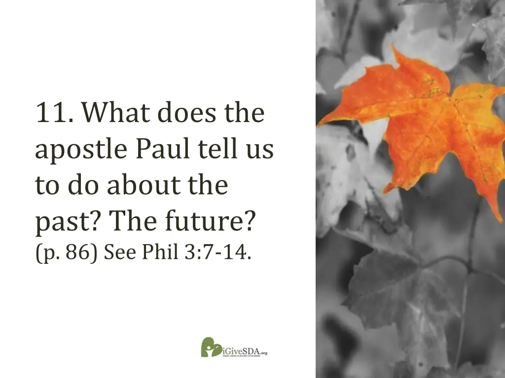11 what does the apostle paul tell us to do about