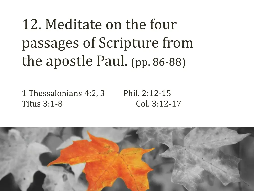 12 meditate on the four passages of scripture