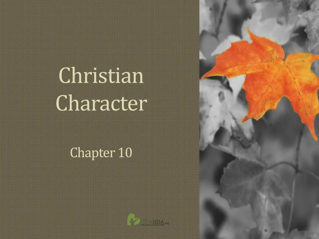 christian character