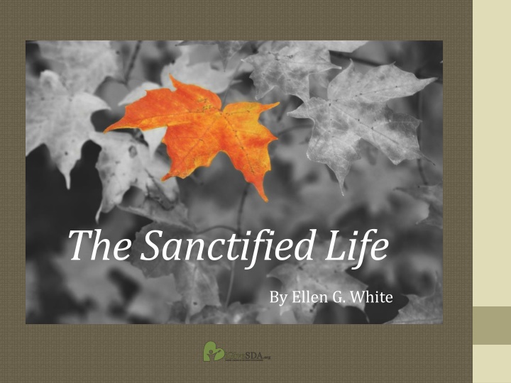 the sanctified life