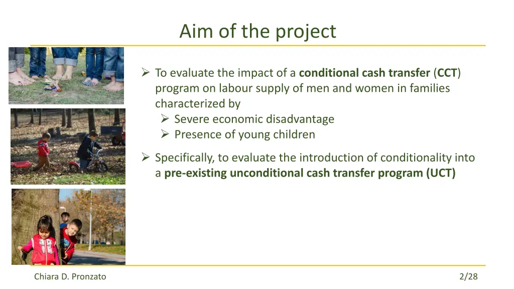 aim of the project