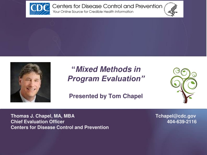 mixed methods in program evaluation