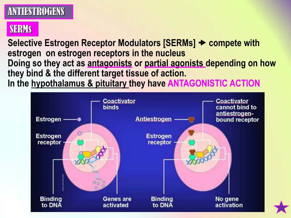 antiestrogens