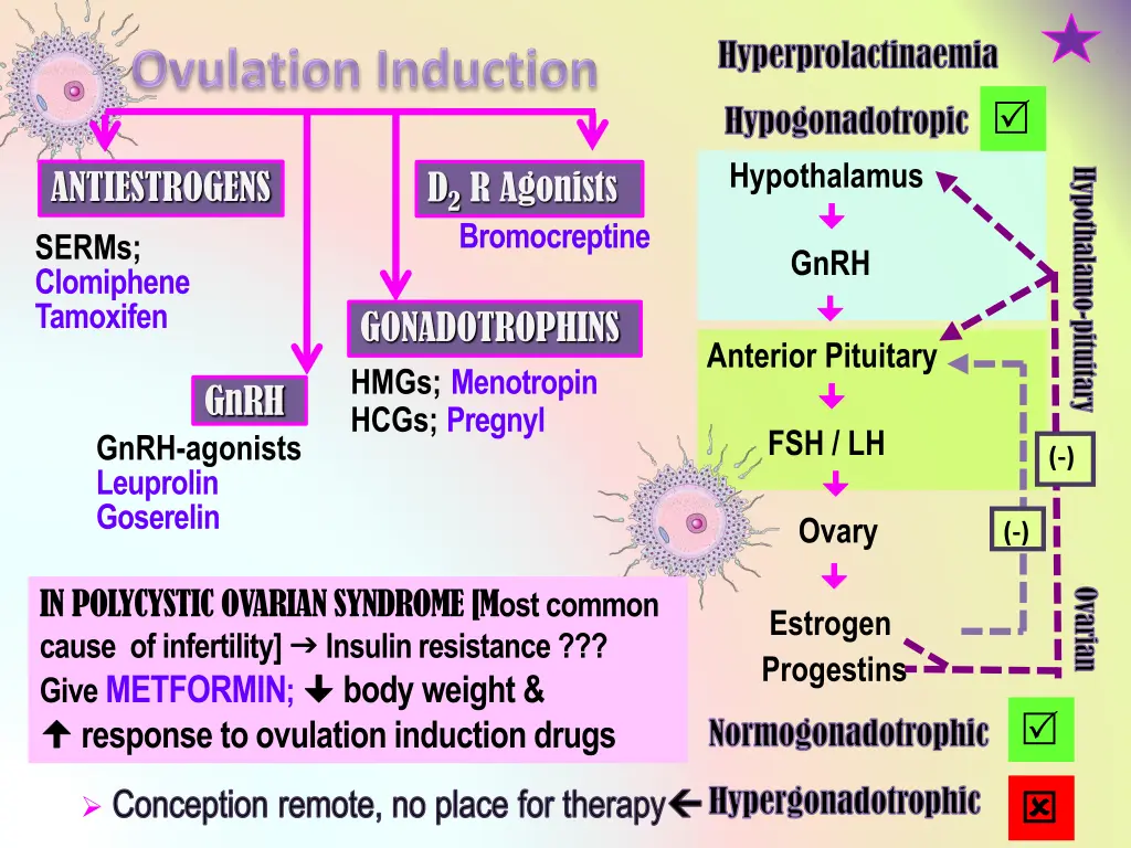 hyperprolactinaemia