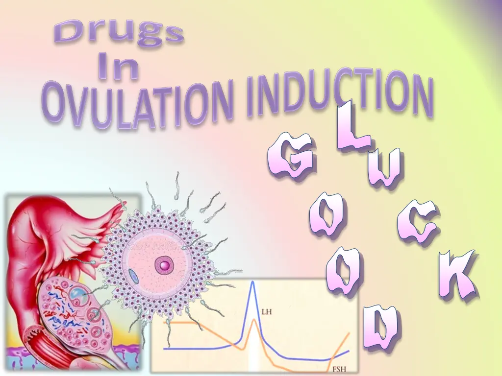 slide17