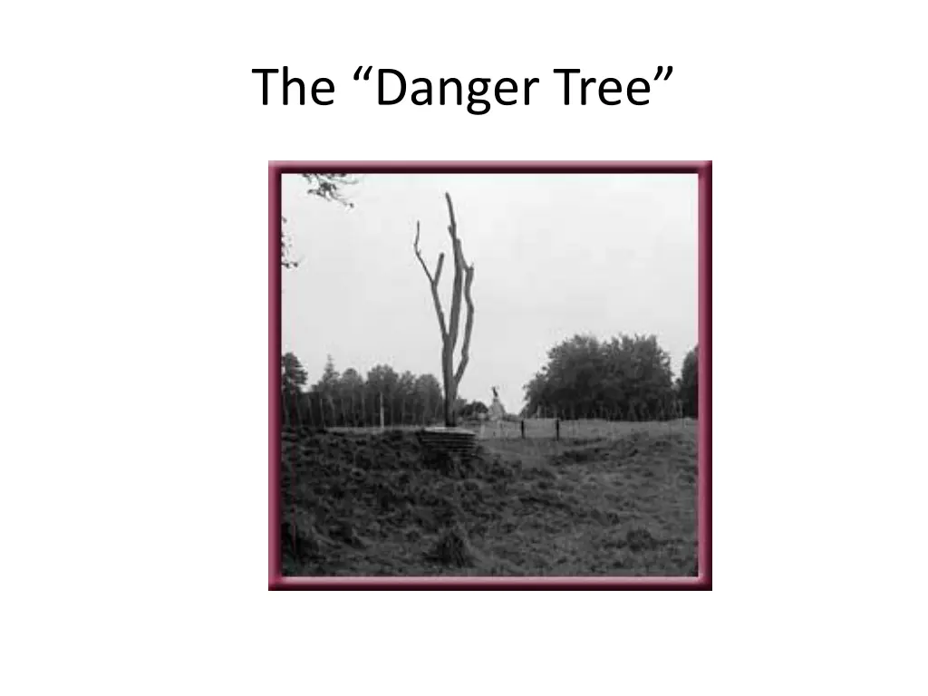 the danger tree