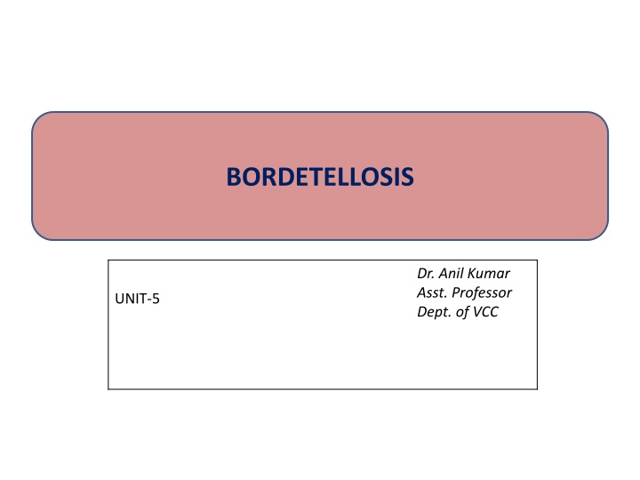 bordetellosis