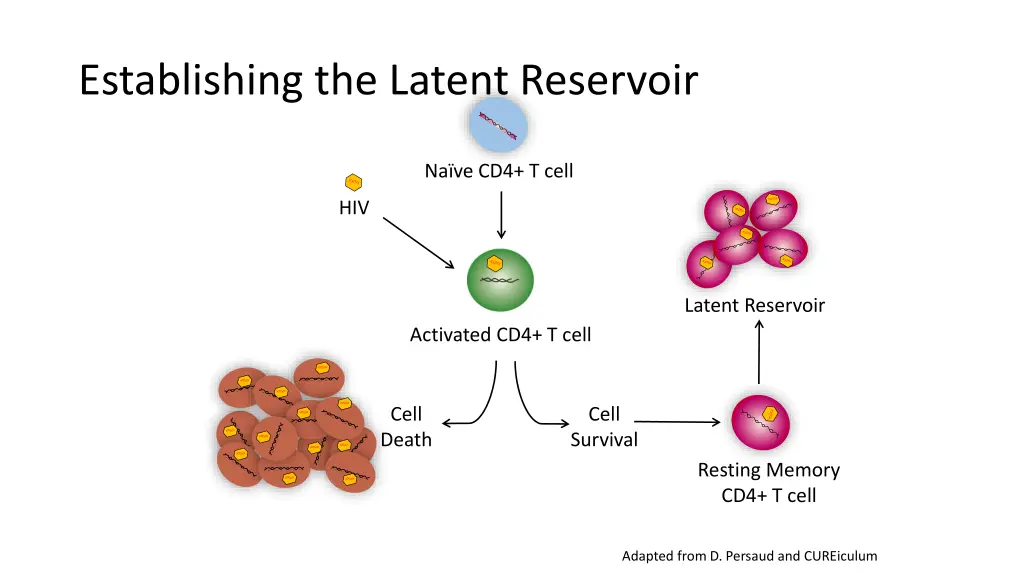 establishing the latent reservoir