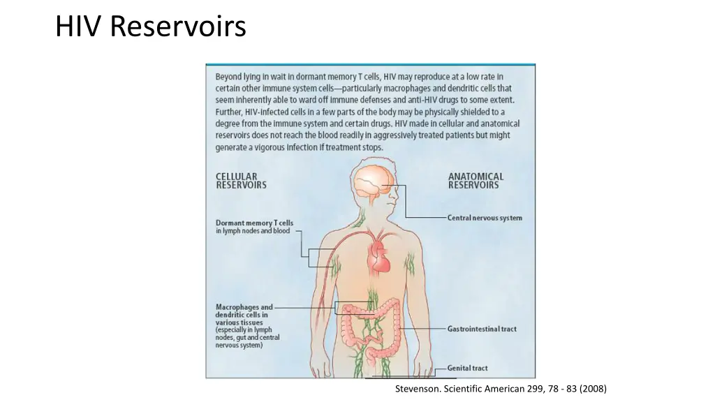 hiv reservoirs
