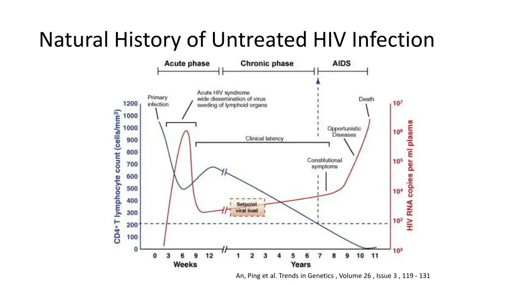 natural history of untreated hiv infection