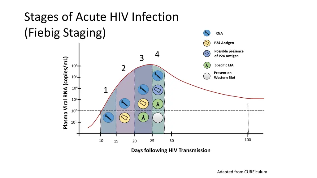 stages of acute hiv infection fiebig staging