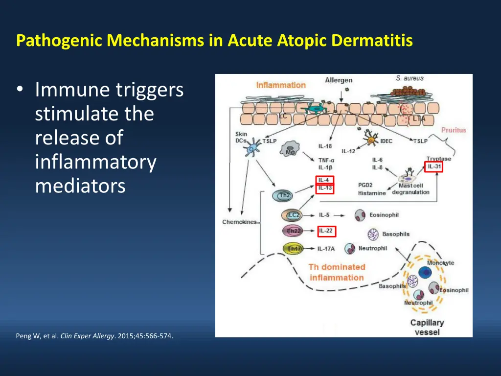 pathogenic mechanisms in acute atopic dermatitis