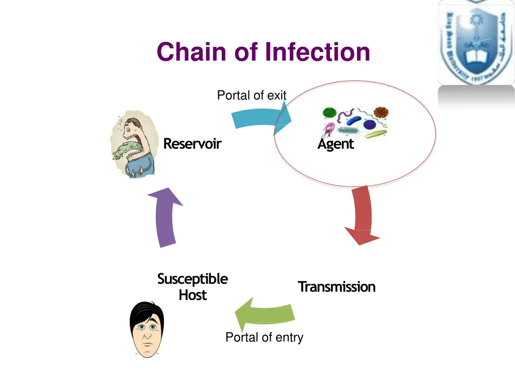 chain of infection