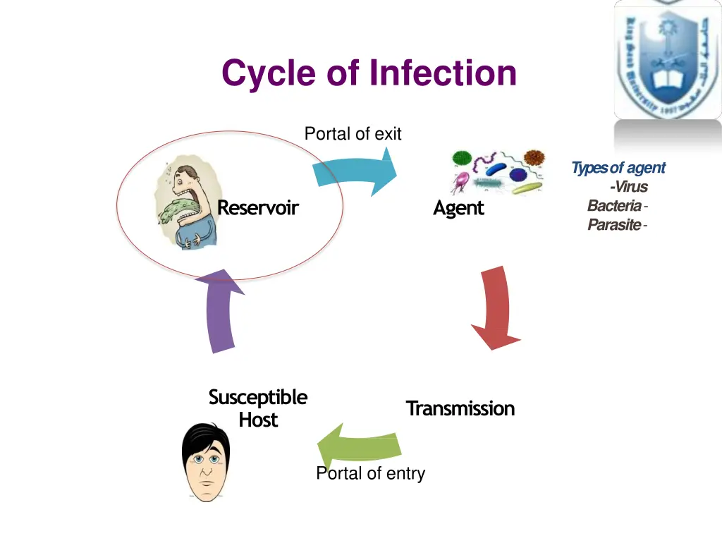 cycle of infection