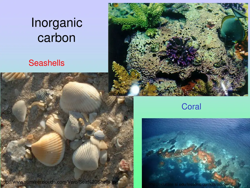 inorganic carbon