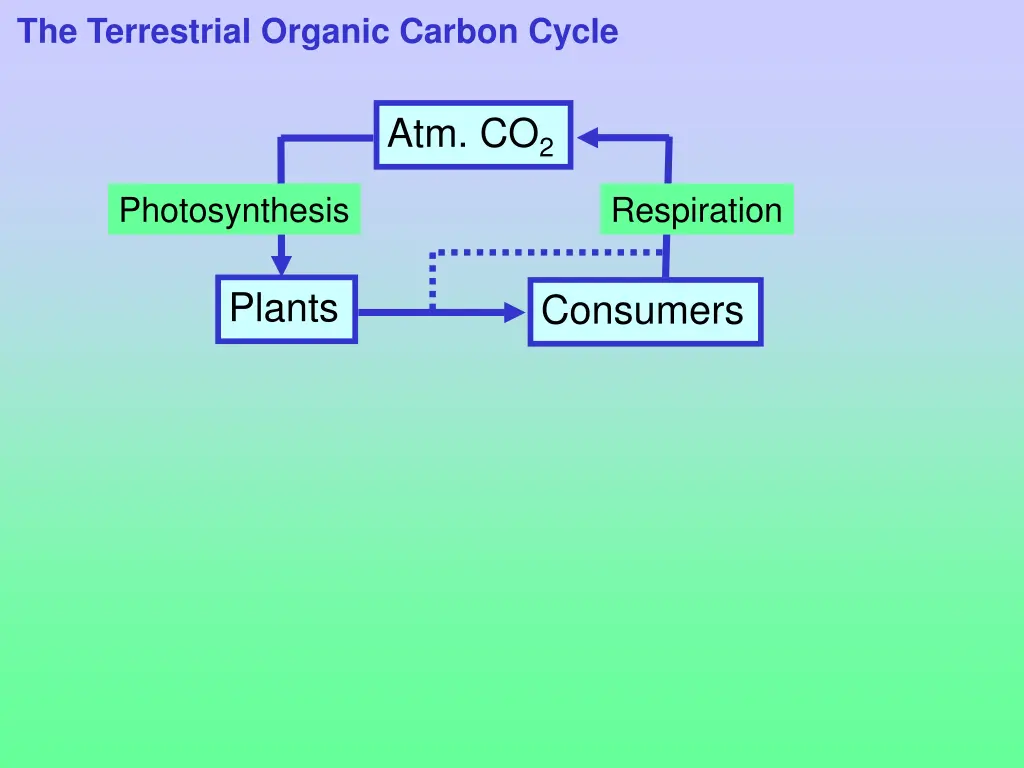 the terrestrial organic carbon cycle 1