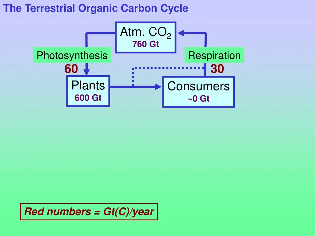 the terrestrial organic carbon cycle 2