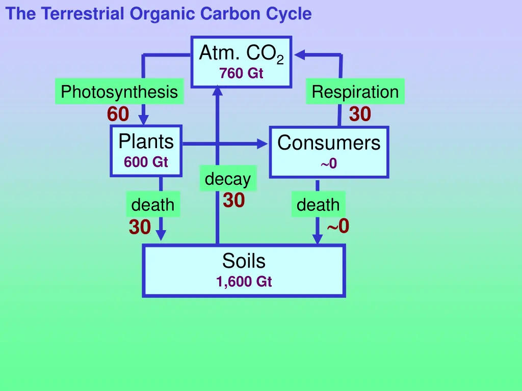the terrestrial organic carbon cycle 3