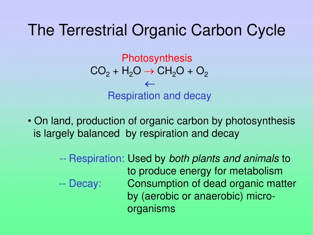 the terrestrial organic carbon cycle