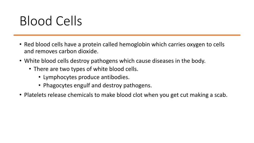 blood cells