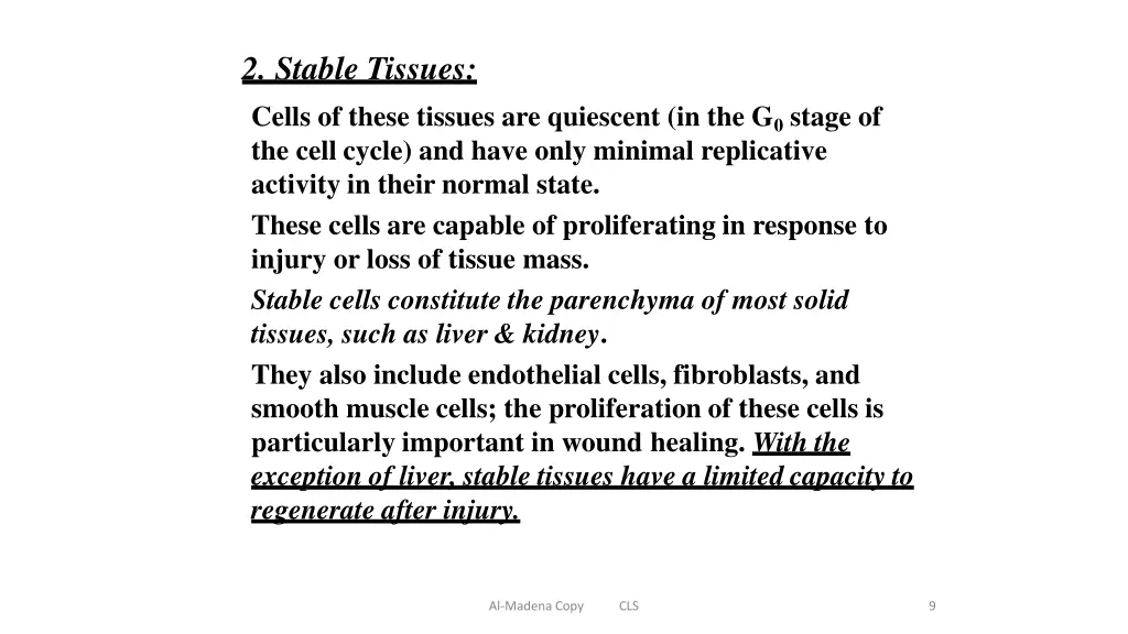 2 stable tissues cells of these tissues