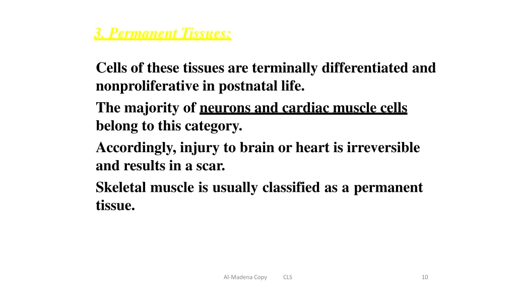 3 permanent tissues