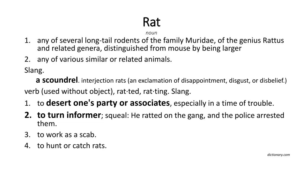 rat rat noun
