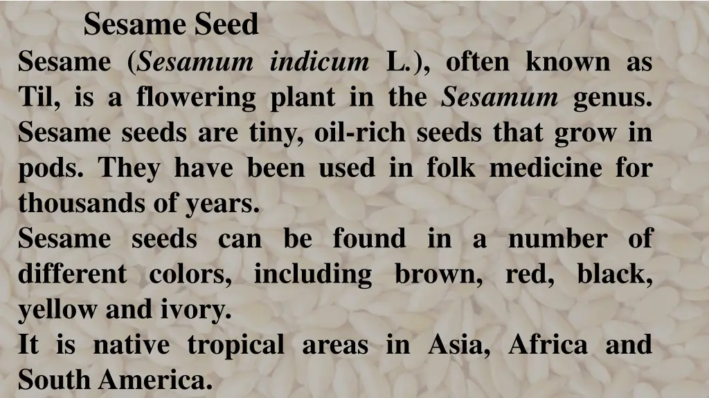 sesame seed sesame sesamum indicum l often known