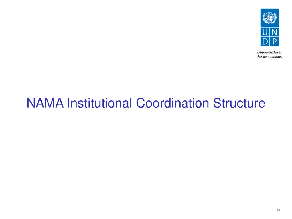nama institutional coordination structure