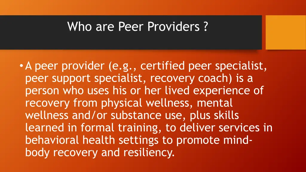 who are peer providers