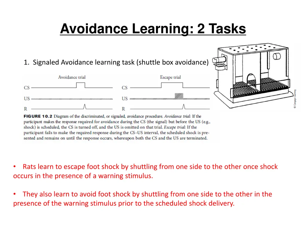avoidance learning 2 tasks