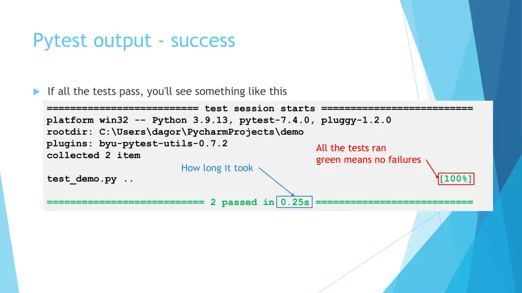 pytest output success