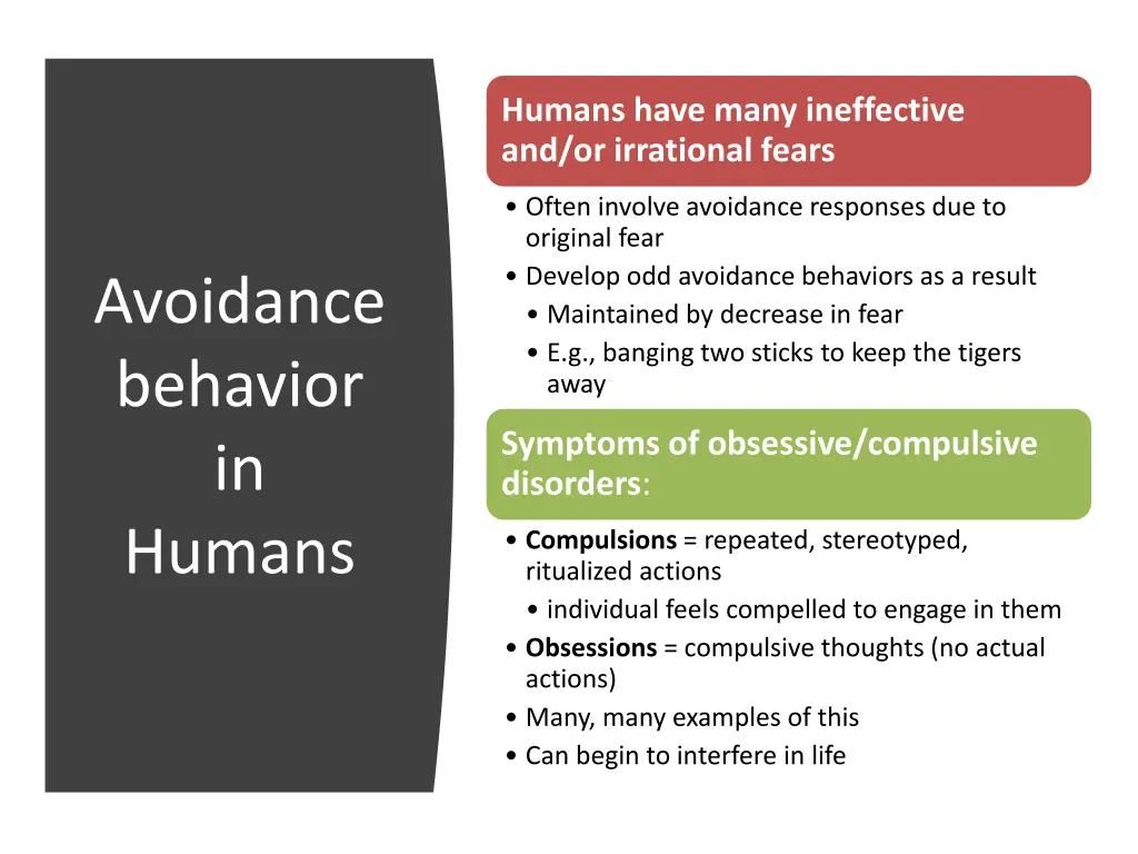 humans have many ineffective and or irrational