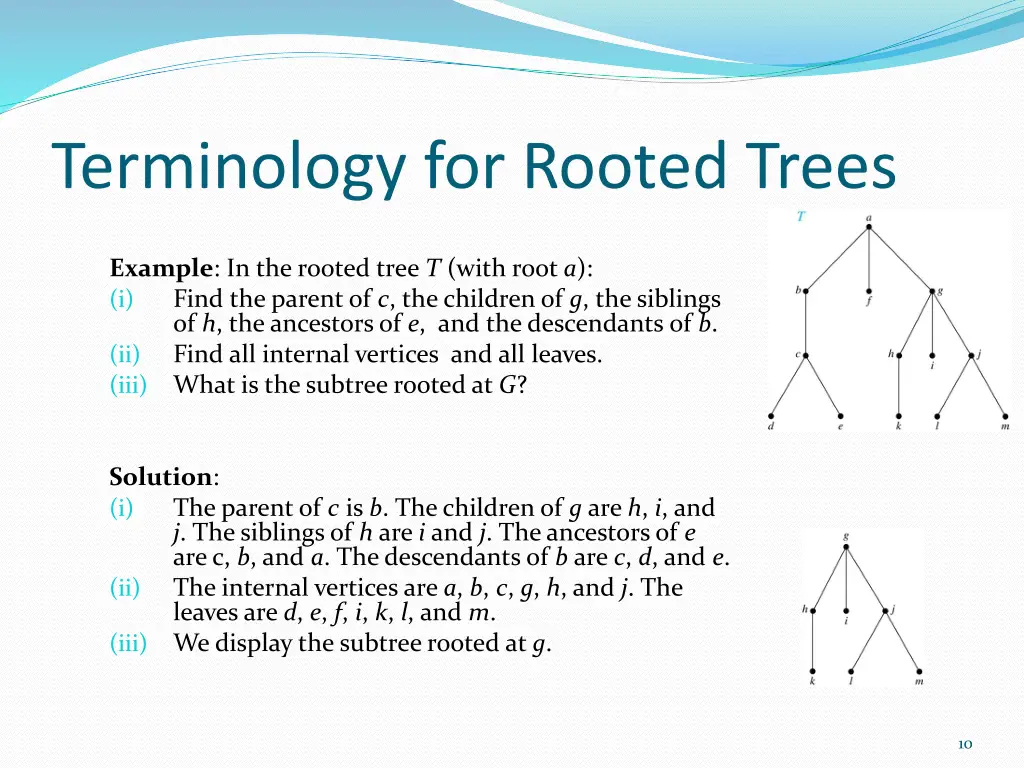 terminology for rooted trees