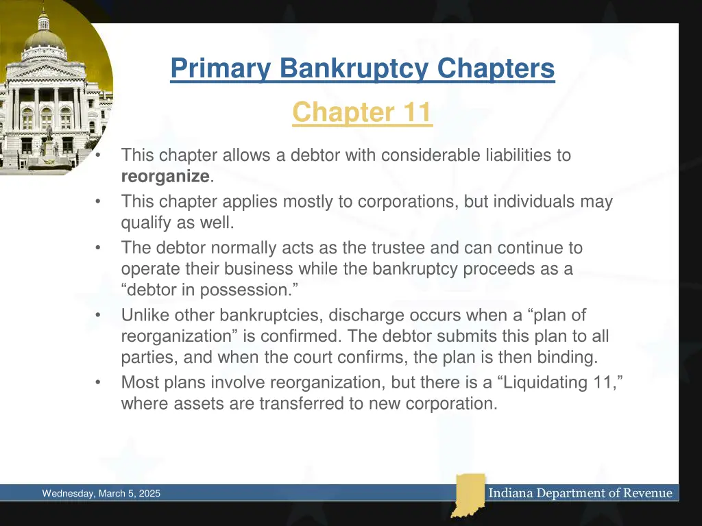 primary bankruptcy chapters 1