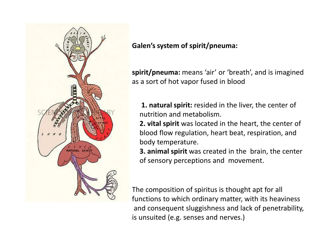 galen s system of spirit pneuma