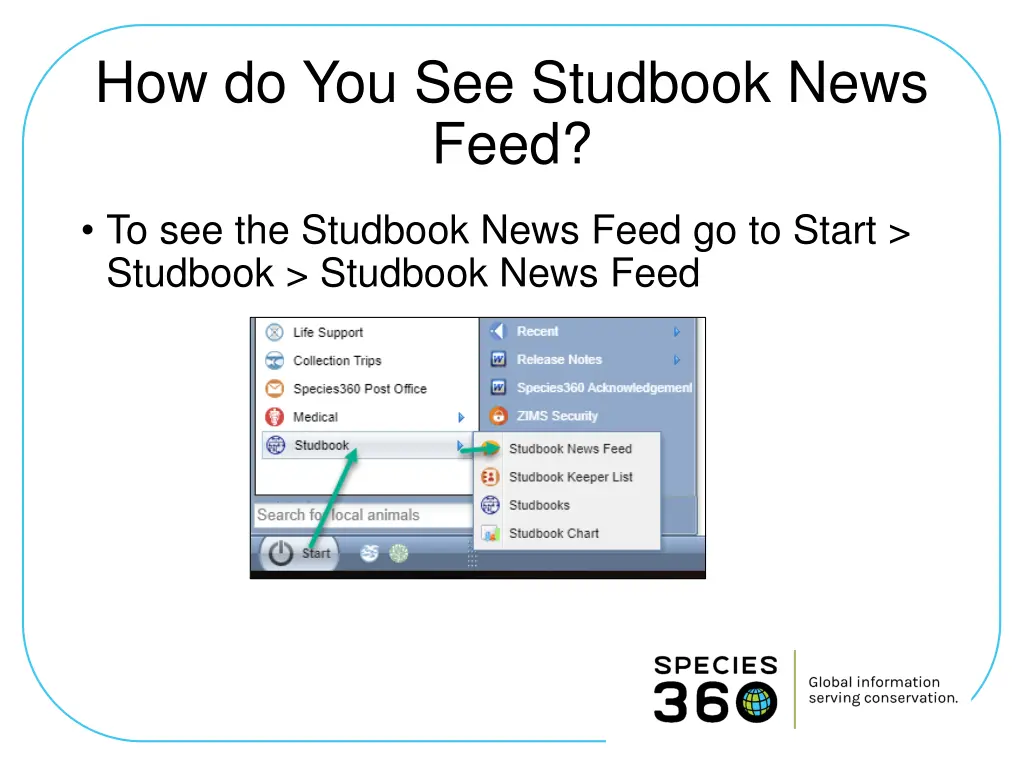 how do you see studbook news feed