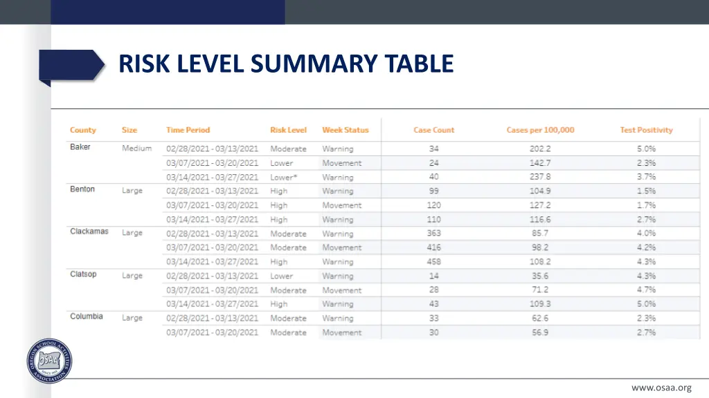 risk level summary table