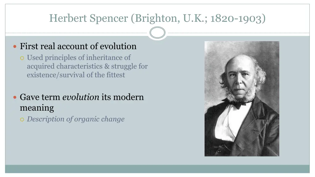 herbert spencer brighton u k 1820 1903