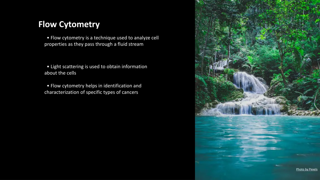 flow cytometry